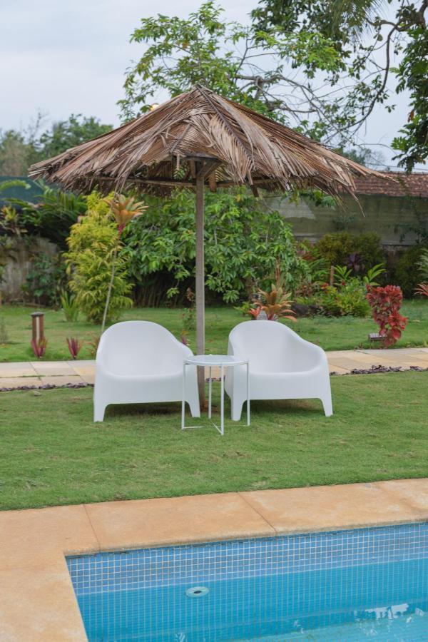 Roca Santo Antonio Ecolodge Sao Tome Exteriör bild